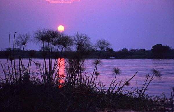 Kenya Sunset reflects on water through reeds